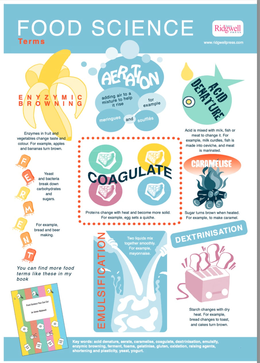 Food Science Posters - DOWNLOAD